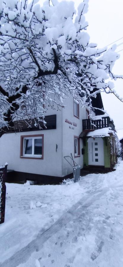 Haus Elli Apartment Greifenburg Exterior photo